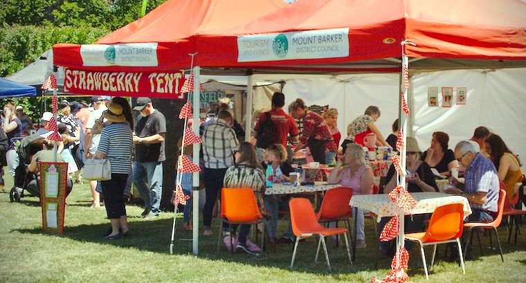 Strawberry Tent