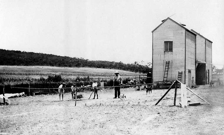 Tobacco barns with kids