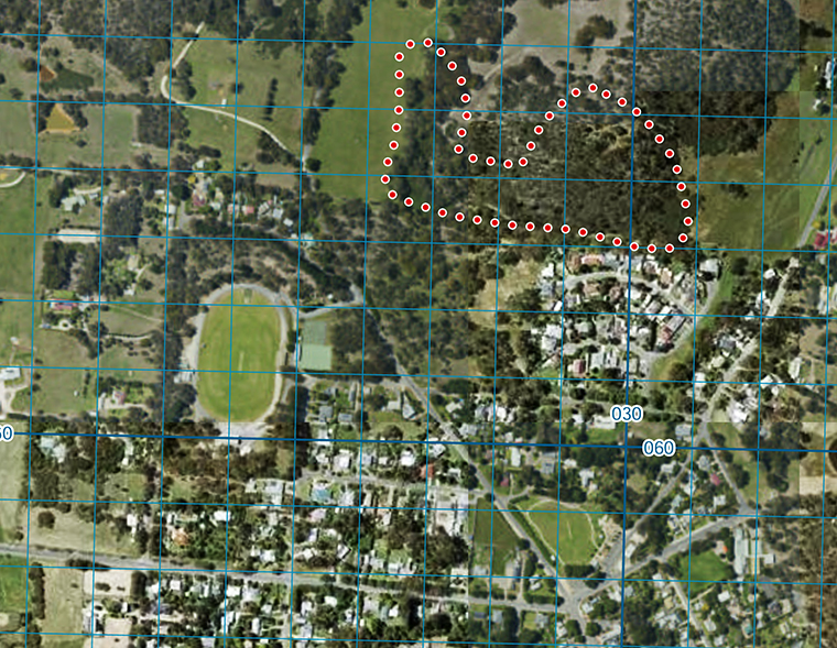 bushfire-cfs-1