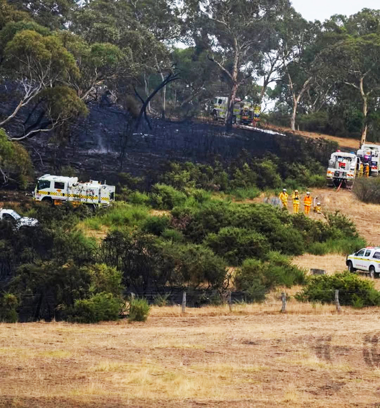 bushfire-public-4
